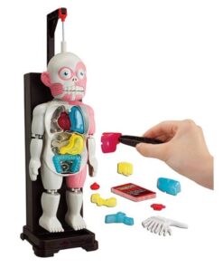 Alternative view of HUMAN BODY MODEL