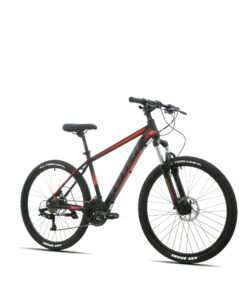 Honour 300 26 07 scaled