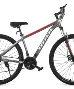 Totem W860 29 24 speed Aluminum frame