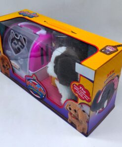 WhatsApp Image 2026 04 28 at 7.47.17 PM