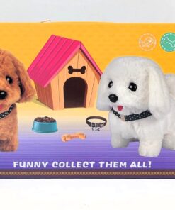 WhatsApp Image 2026 04 28 at 7.47.35 PM