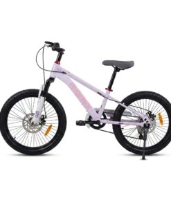 20-Inch Phoenix Mountain Bicycle - Pink & Purple Edition