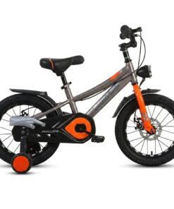16-Inch Phillips Sport Children's Bicycle - Brown & Orange Edition